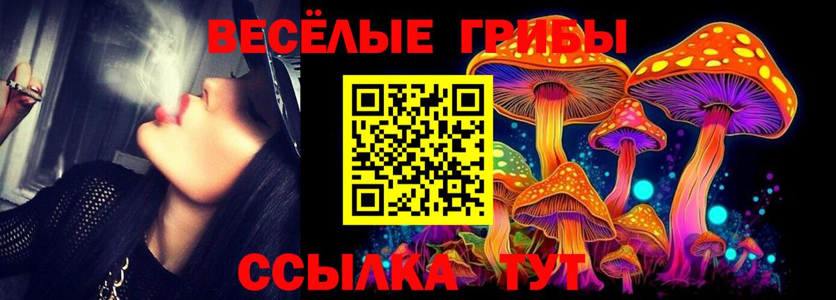 Меф МЯУ МЯУ   Артём  Alpha-PVP СК кристаллы  ГАШИШ  ЭКСТАЗИ  Вход с VPN  Канабис 